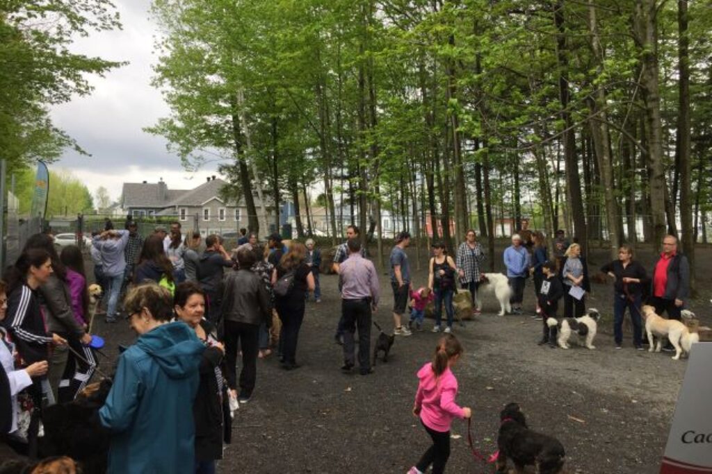 Parc à chiens de Saint-Germain : des heures réduites et une relocalisation potentielle en vue