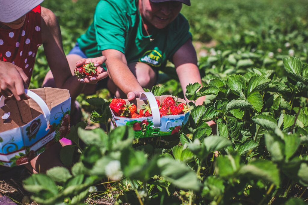 Une nouvelle plateforme pour le tourisme gourmand au Centre-du-Québec