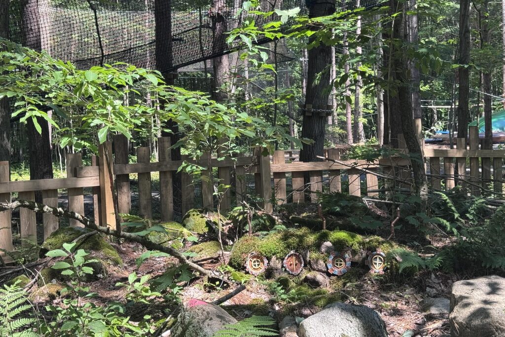 Lancement de l’exploitation au Bois des lutins, à Saint-Joachim-de-Courval