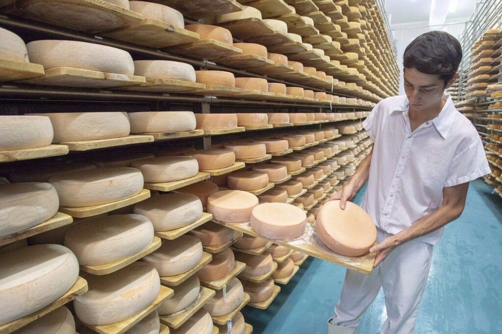 La Route des fromages permet de découvrir des fromageries locales à travers le Québec