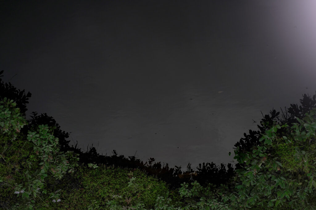 Sorry! Image not available at this time